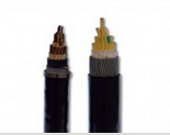 交聯聚乙烯絕緣控制電纜